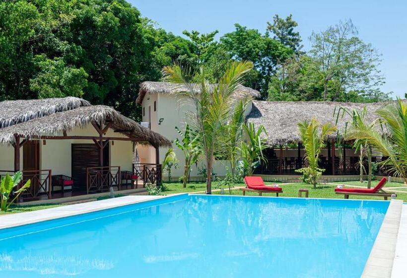 اتاق استاندارد با چشمانداز استخر, Blue Sky Resort