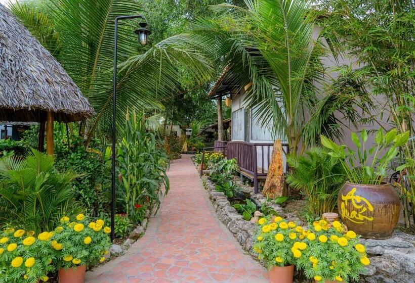 اتاق استاندارد, Bình An Village