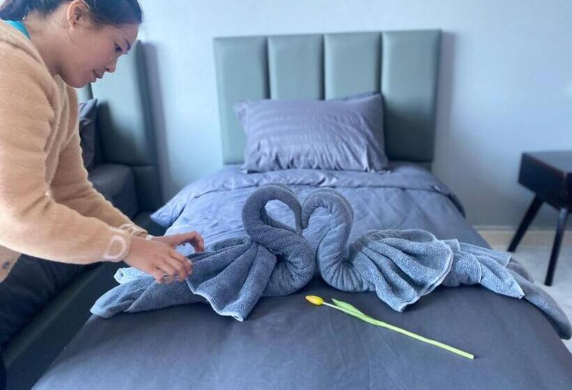 غرفة عائلية, Tulip