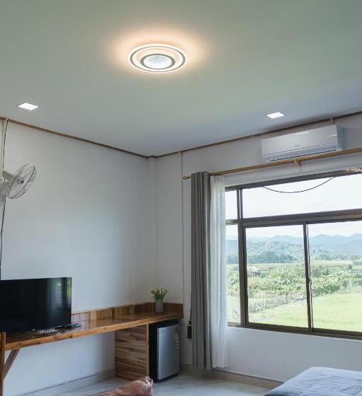 غرفة قياسية, Tulip