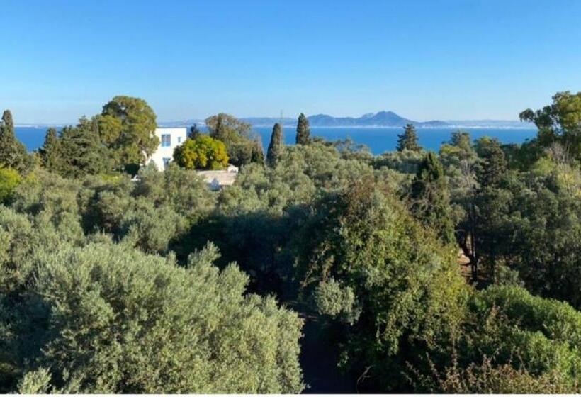 اتاق استاندارد با چشمانداز دریا, Lella Kmar B&b Avec Piscine Sidi Bou Said