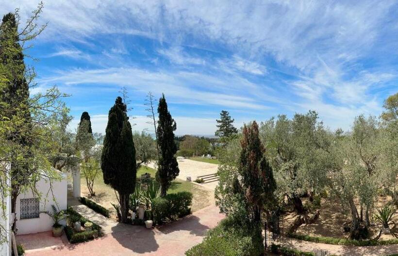 اتاق استاندارد با چشمانداز دریا, Lella Kmar B&b Avec Piscine Sidi Bou Said