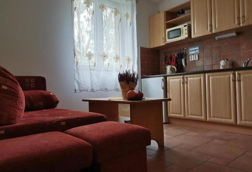 غرفة ديلوكس, Penzion Mia