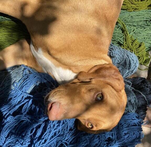 غرفة قياسية, Casa Gutiérrez