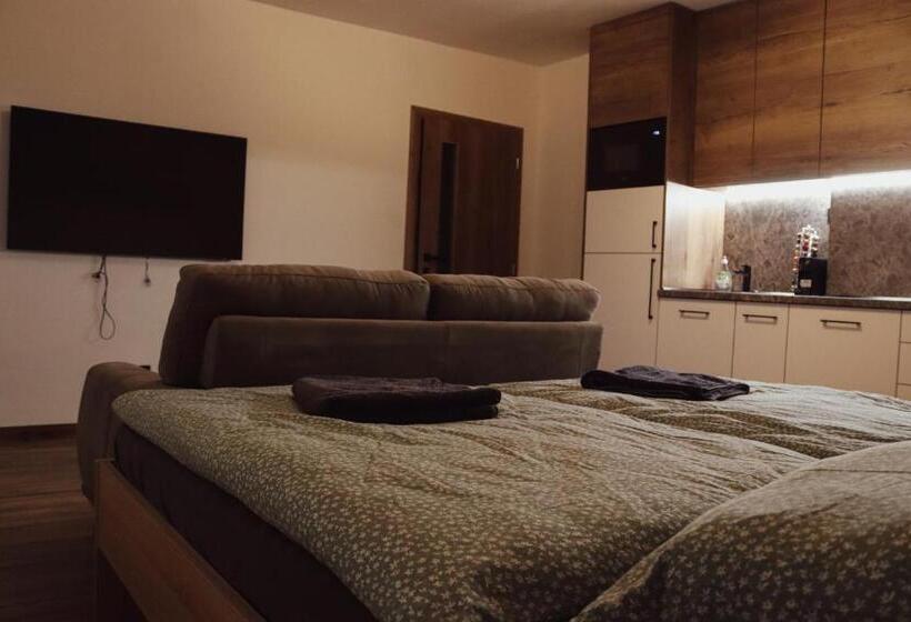 １ベッドルームアパートメント, Iq Apartments