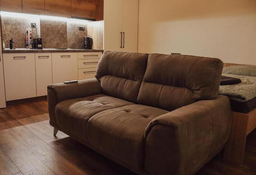 １ベッドルームアパートメント, Iq Apartments