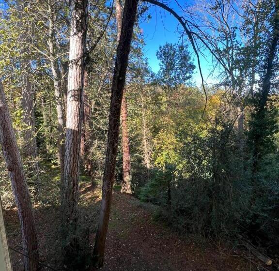 스탠다드 룸 가든 전망, Château Le Fournel