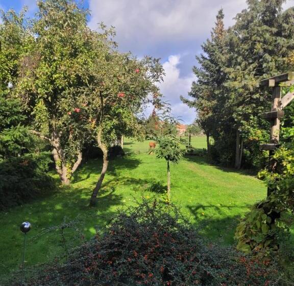 适合残疾人使用的标准间, Hirschhof Hildebrandt