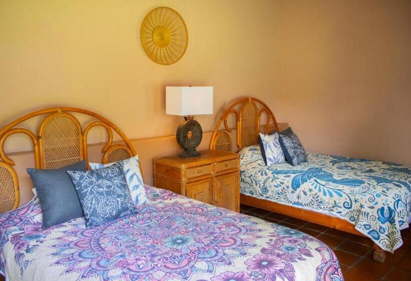 스탠다드 룸, Casas México