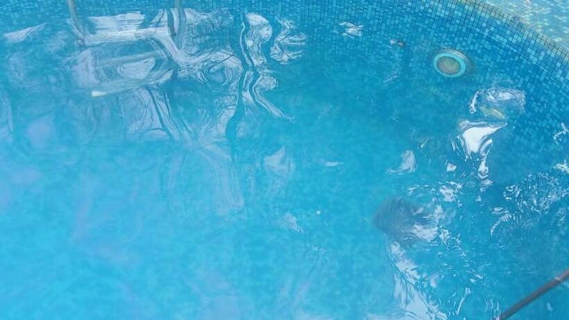 סוויטת דופלקס, Green Woods Resort