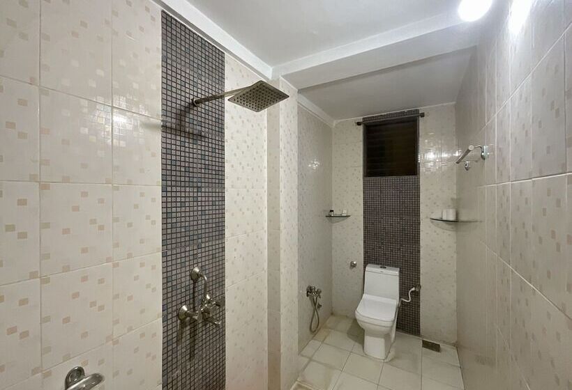 Номер Стандарт, Nagas Hotel Satyavati Morjim