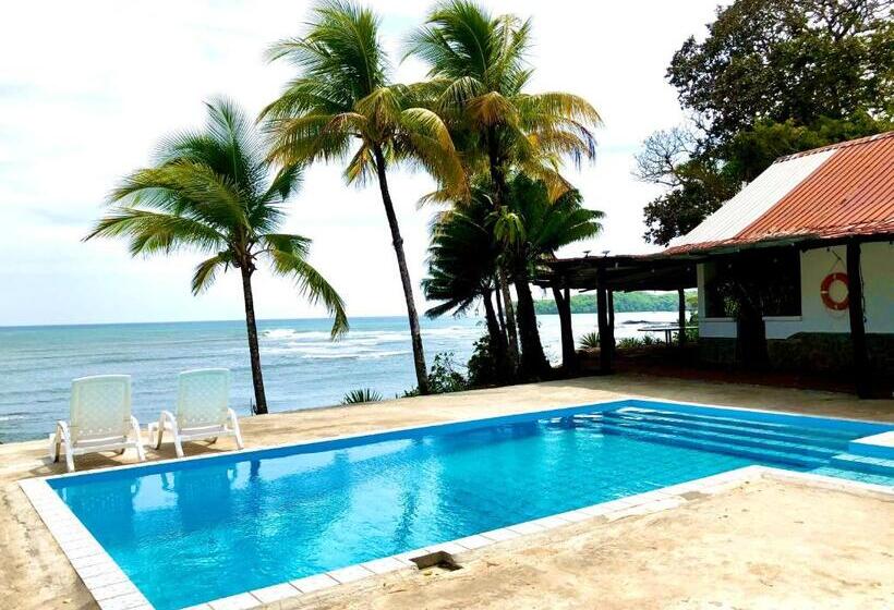 Люкс Вид на Бассейн, Oceanfront Bungalows   Paradise Rentals