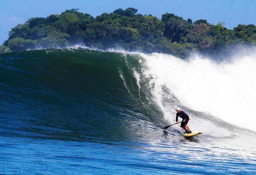 ガーデンビュースイート, Oceanfront Bungalows   Paradise Rentals