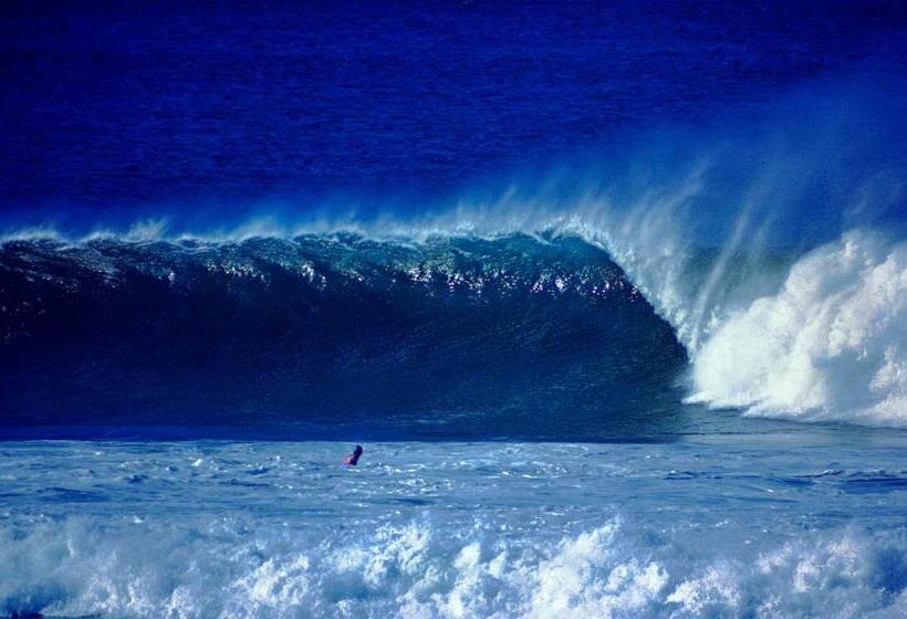 オーシャンビューのスタンダードバンガロー, Oceanfront Bungalows   Paradise Rentals