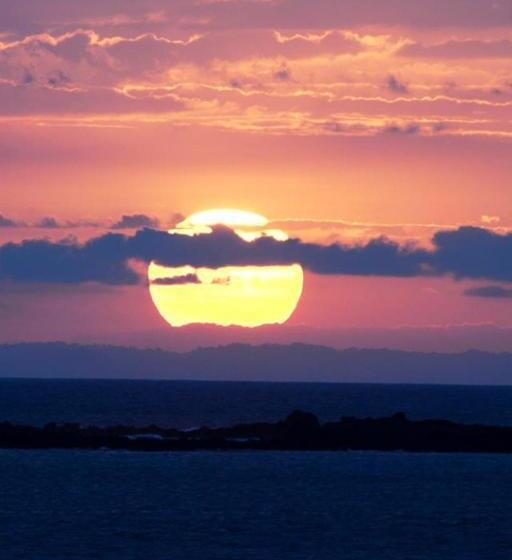オーシャンビューのスタンダードバンガロー, Oceanfront Bungalows   Paradise Rentals