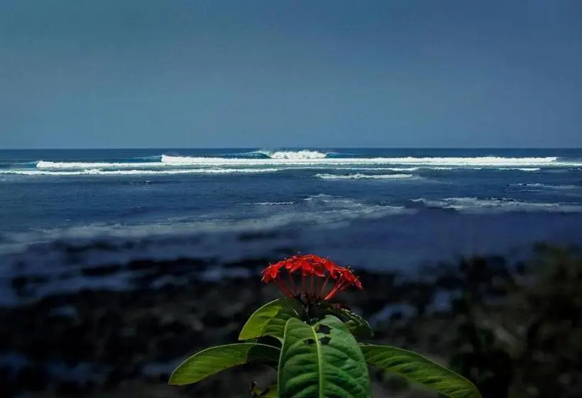Standard-bungalow, Oceanfront Bungalows   Paradise Rentals
