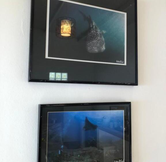 スタンダードバンガロー, Oceanfront Bungalows   Paradise Rentals