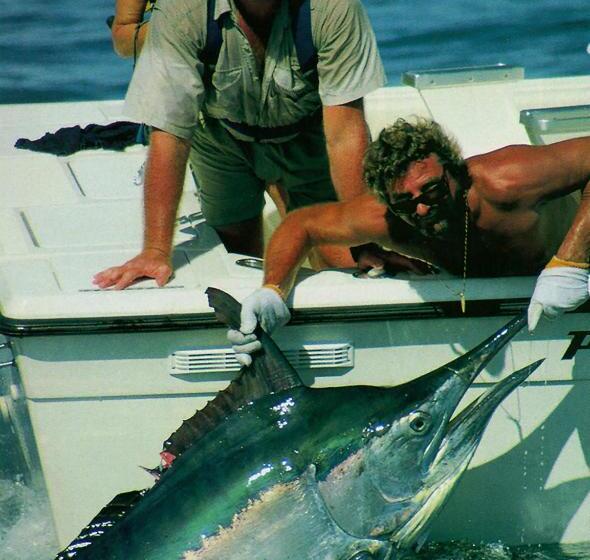 １ベッドルームハウス, Oceanfront Bungalows   Paradise Rentals