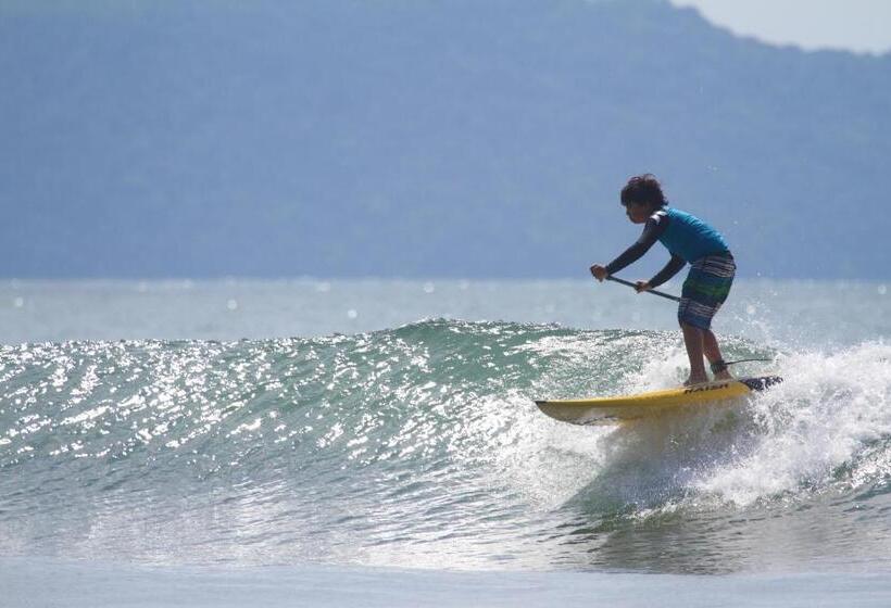 オーシャンビューデラックススイート, Oceanfront Bungalows   Paradise Rentals