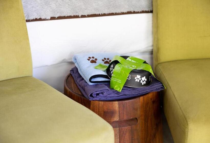 Номер Стандарт, Canalside Inn