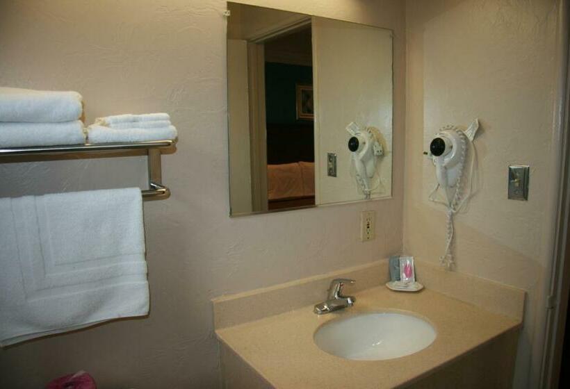 غرفة قياسية سرير كينج, Civic Center Lodge / Lake Merritt Bart