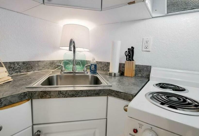 带海景的标准工作室, Coconut Inn Passagrille Beach