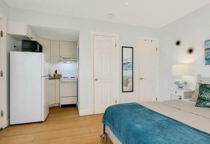 带海景的标准工作室, Coconut Inn Passagrille Beach