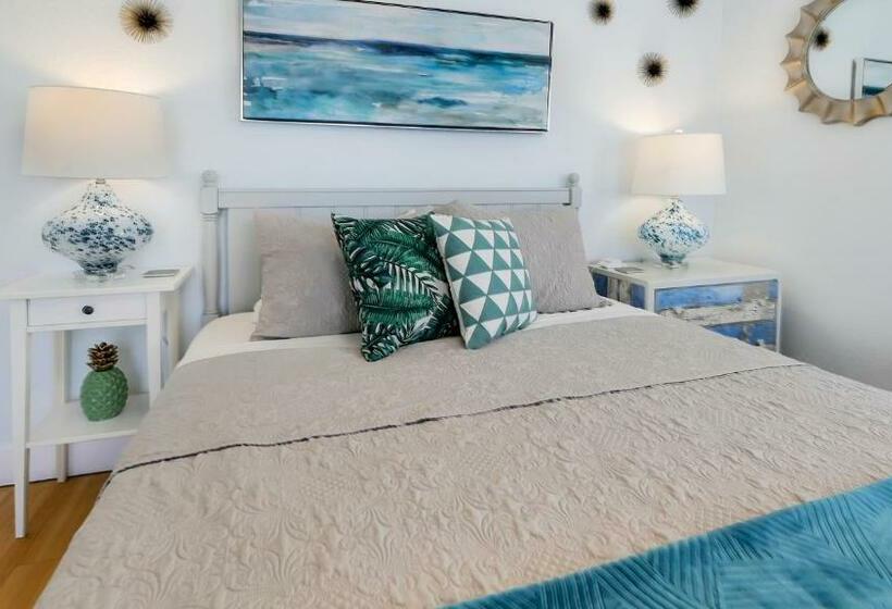 带海景的标准工作室, Coconut Inn Passagrille Beach