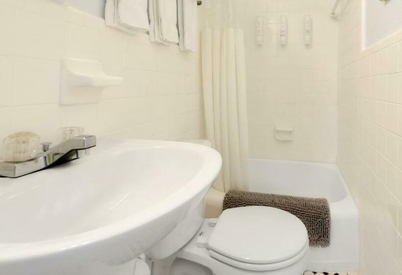 带海景的标准工作室, Coconut Inn Passagrille Beach