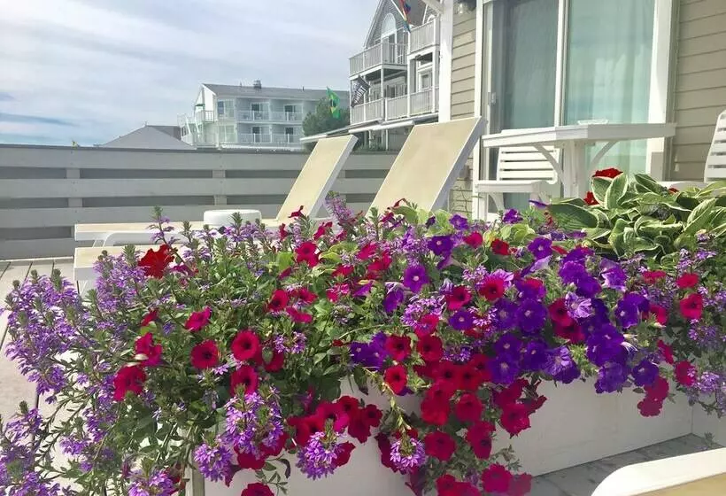 اتاق استاندارد با چشم‌انداز, Dyer's Beach House