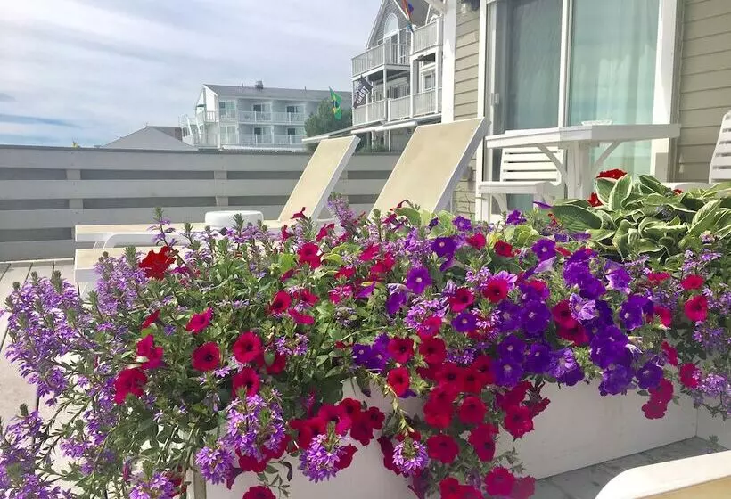 اتاق استاندارد با چشم‌انداز, Dyer's Beach House