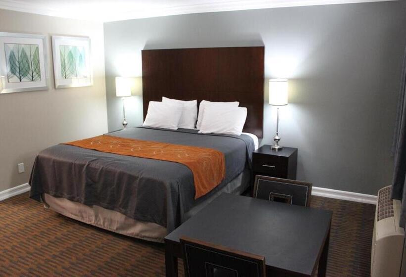 חדר דחוקס עם מיטת קינג, Friendly Hills Inn