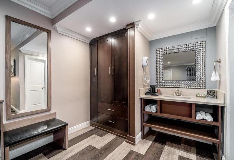 חדר דחוקס עם מיטת קינג, Friendly Hills Inn