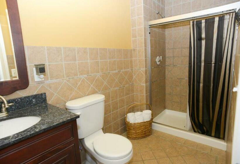 اتاق استاندارد با چشم‌انداز شهر, Naomi's Inn Bed & Breakfast