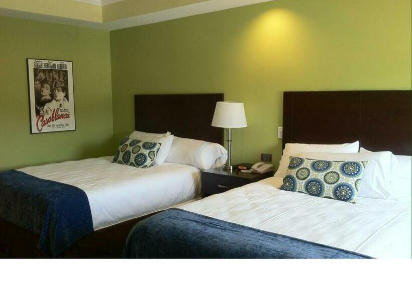 스탠다드 룸, Starlight Inn