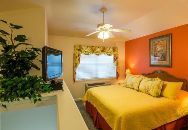 Delüks Stüdyo, The Cozy Inn