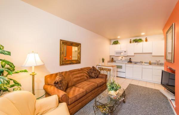 Delüks Stüdyo, The Cozy Inn