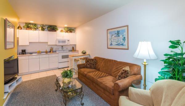 Delüks Stüdyo, The Cozy Inn