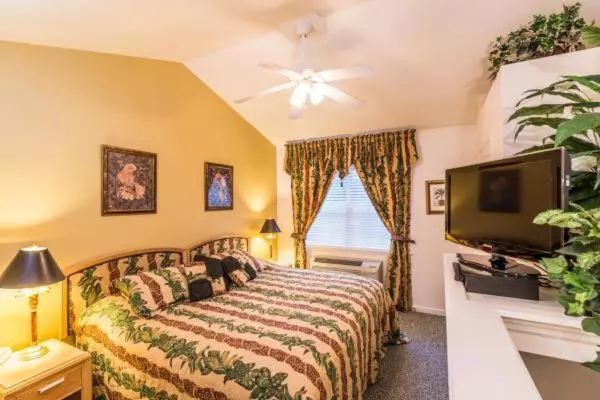 استودیوی لوکس, The Cozy Inn