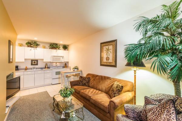 Delüks Stüdyo, The Cozy Inn