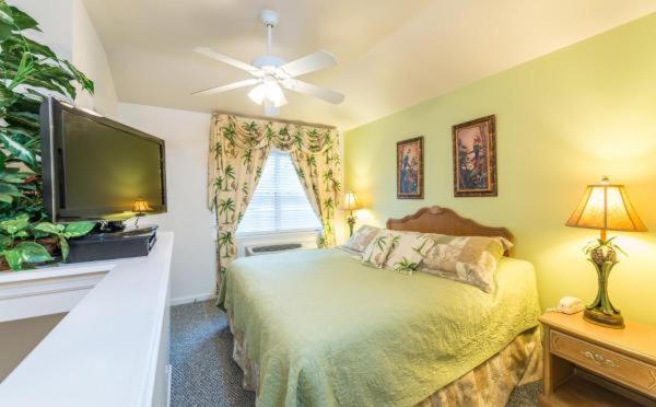 Delüks Stüdyo, The Cozy Inn