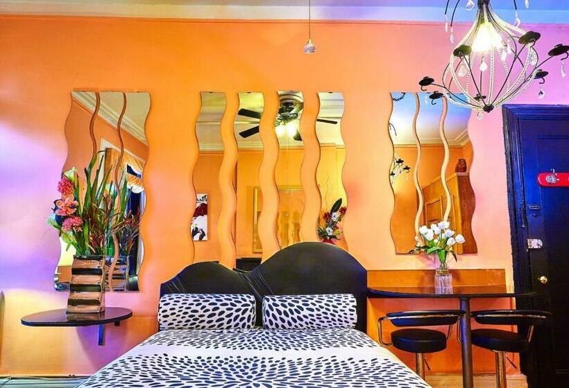 اتاق استاندارد, The International Cozy Inn