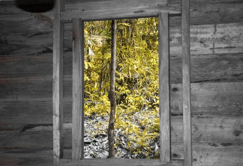 ファミリールーム, Rock Pool Eco Lodge