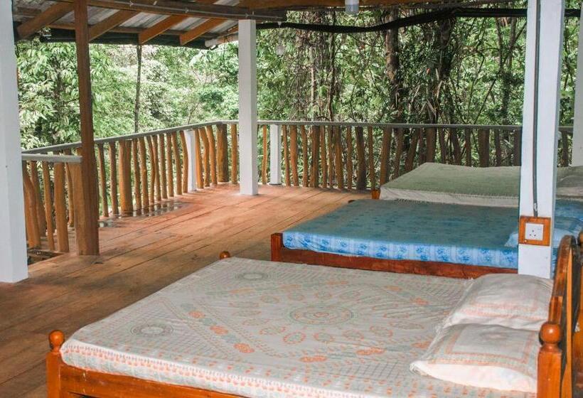 ファミリールーム, Rock Pool Eco Lodge