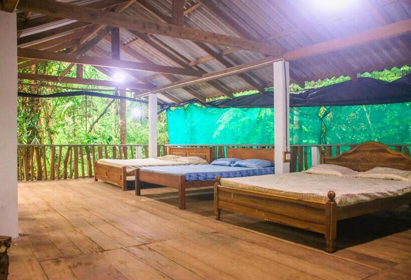 Семейный Номер, Rock Pool Eco Lodge