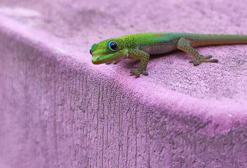 اتاق خانوادگی با چشمانداز کوه, Maison De Charme, En Plaine Poésie Chez L Habitant