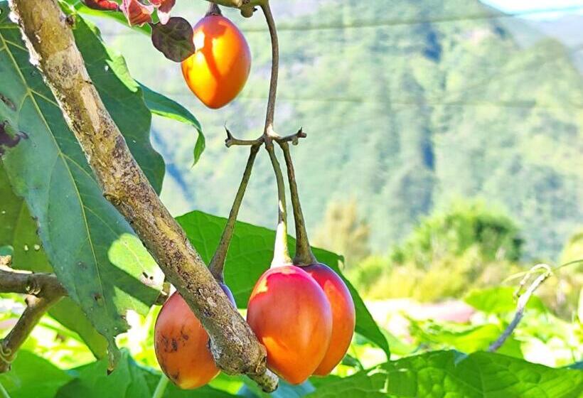 اتاق خانوادگی با چشمانداز کوه, Maison De Charme, En Plaine Poésie Chez L Habitant