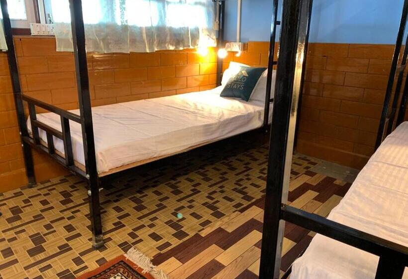Cama em Quarto Compartilhado, Solo Stays   Backpacker Hostel
