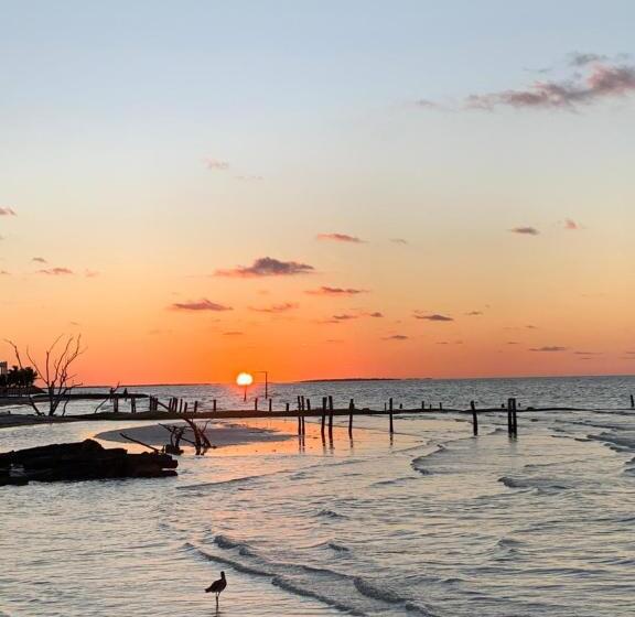 Suit Deluxe, Tamar Holbox Hotel By Laisla Holbox Group