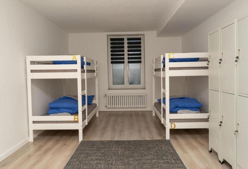 تختخواب در اتاق مشترک, Downtown Apartments